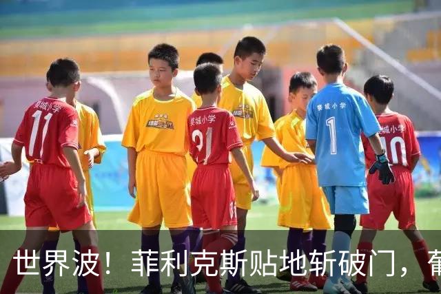 世界波！菲利克斯贴地斩破门，葡萄牙1-0