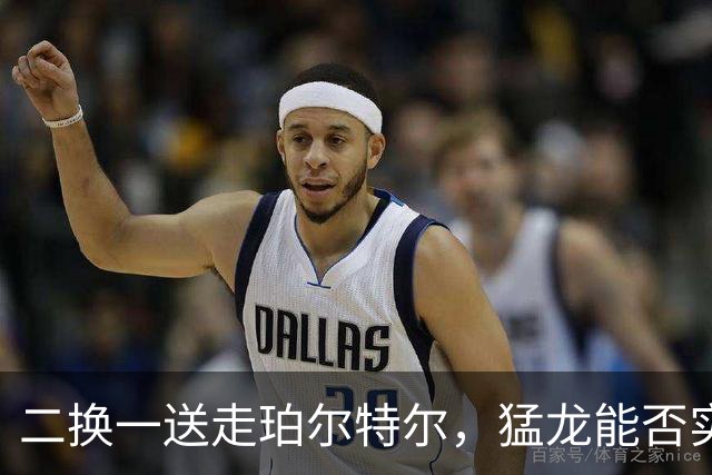 二换一送走珀尔特尔，猛龙能否实现五号位的升级