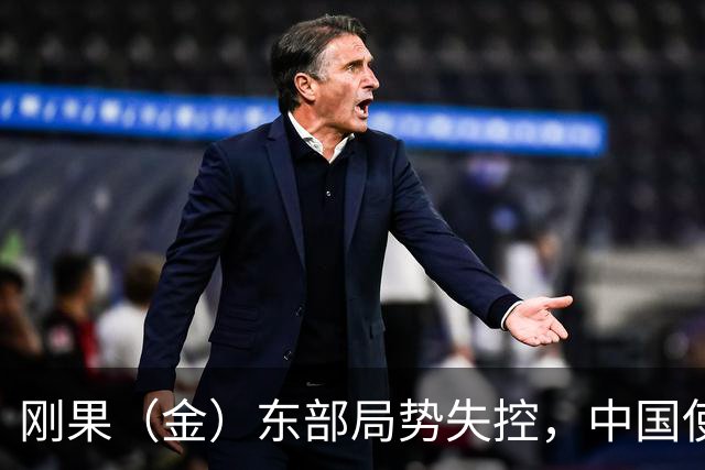 刚果（金）东部局势失控，中国使馆紧急提醒：尽快撤离或转移！
