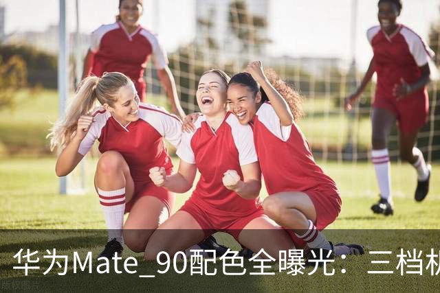 华为Mate 90配色全曝光：三档机型，积木壳能自己拼