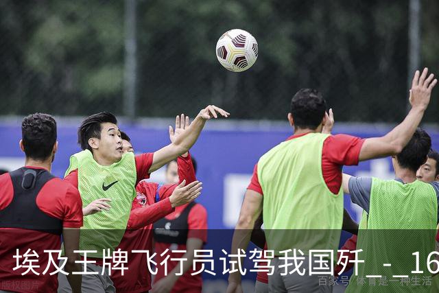 埃及王牌飞行员试驾我国歼 - 16 返航，再度坐上阵风座舱久久不语，说出的一席话让大家无言以对