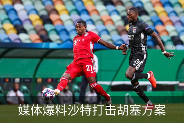 媒体爆料沙特打击胡塞方案