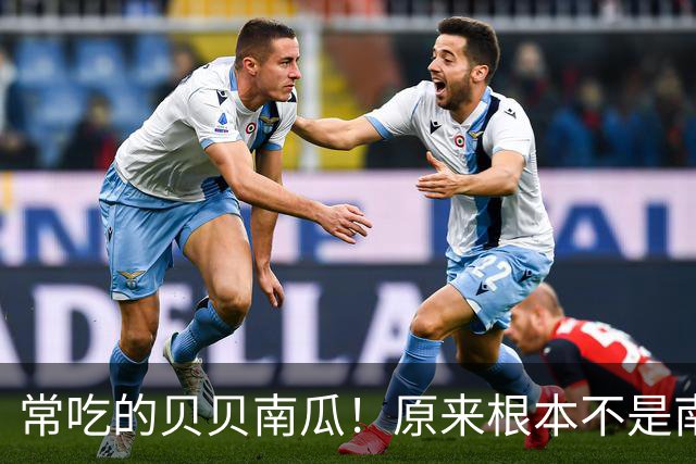 常吃的贝贝南瓜！原来根本不是南瓜，很多人都搞错了！