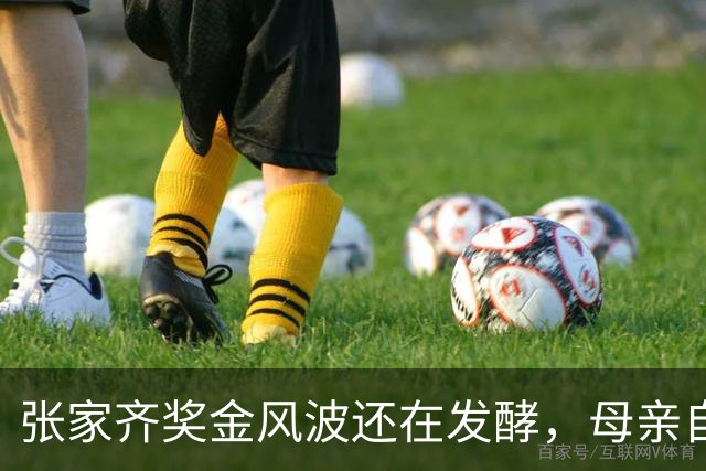 张家齐奖金风波还在发酵，母亲自爆奖金去向，原来向太没有说错