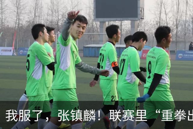 我服了，张镇麟！联赛里“重拳出击”国家队比赛却因伤避而不进！杨毅说得真没错
