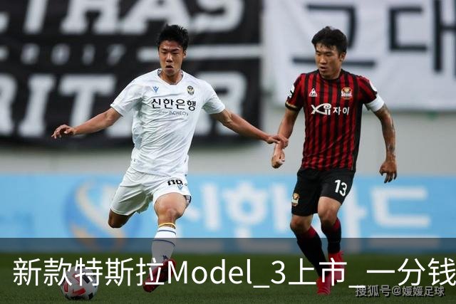 新款特斯拉Model 3上市 一分钱没涨、补上了那个拖了很多年的功能