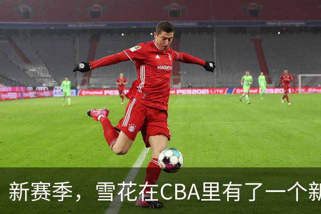 新赛季，雪花在CBA里有了一个新身份
