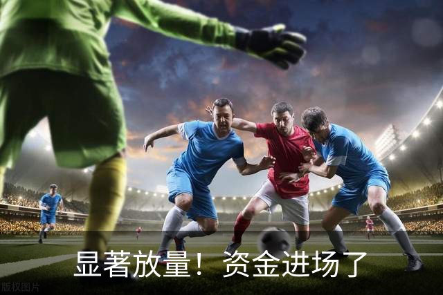 显著放量！资金进场了