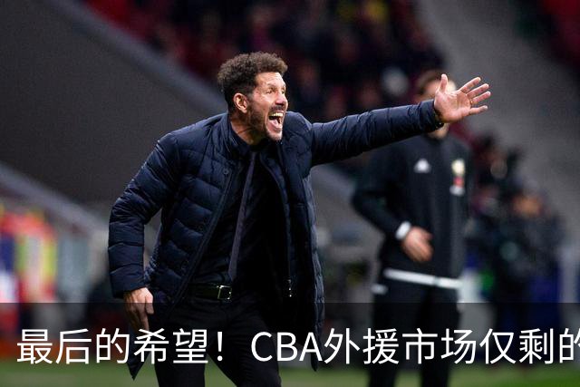 最后的希望！CBA外援市场仅剩的内线大鱼，或被广东队重金抢下？