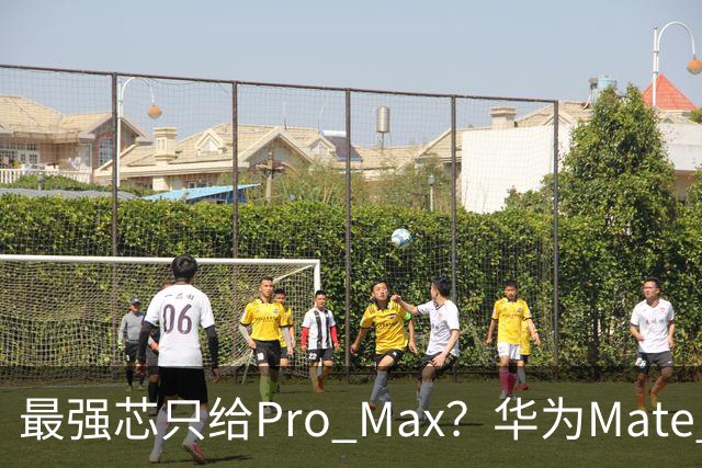 最强芯只给Pro Max？华为Mate 90系列芯片配置曝光：Pro改用麒麟9035