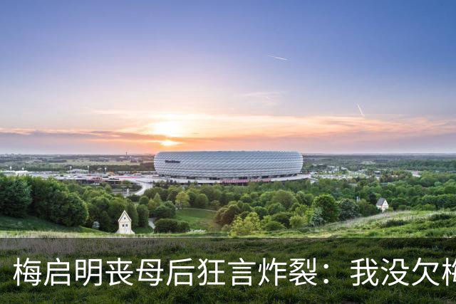 梅启明丧母后狂言炸裂：我没欠梅艳芳，只有她们欠我