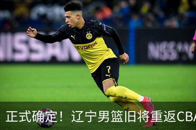 正式确定！辽宁男篮旧将重返CBA，加盟广东宏远