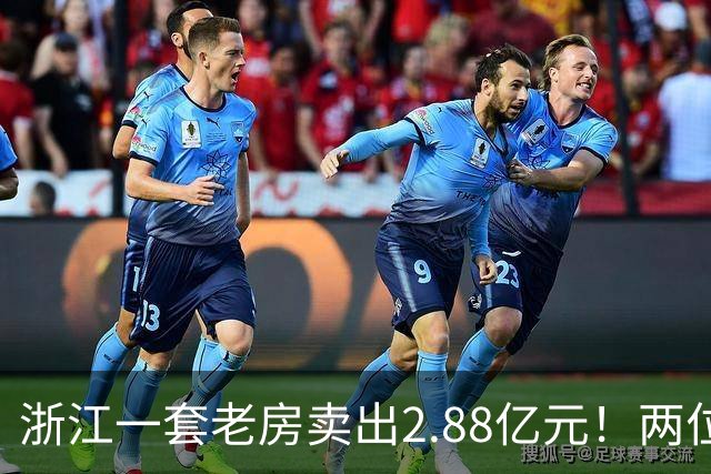 浙江一套老房卖出2.88亿元！两位买家“拉锯”5小时竞价228轮，每分钟加价7位数