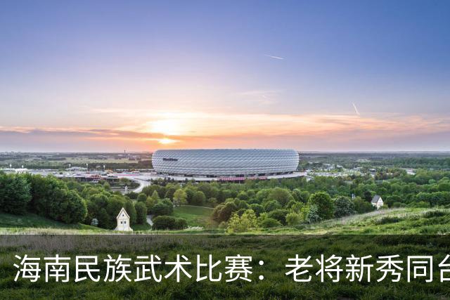海南民族武术比赛：老将新秀同台竞技，传统内蕴薪火相传