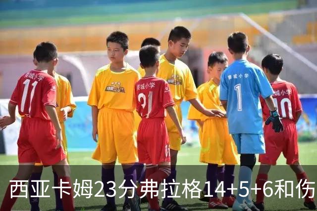西亚卡姆23分弗拉格14+5+6&伤退 独行侠轻取步行者
