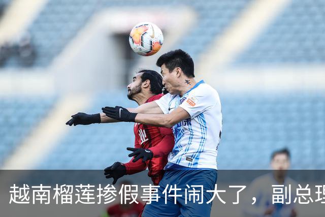 越南榴莲掺假事件闹大了，副总理到南宁，请中国再给他们一次机会