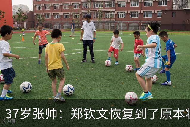 37岁张帅：郑钦文恢复到了原本状态！非常开心中国网球走向鼎盛时期