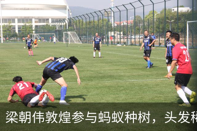 新闻动态